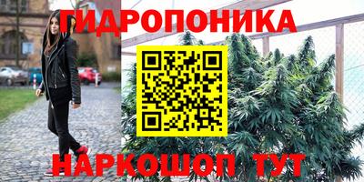 тгк Канаш