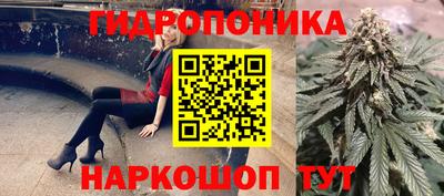 mdpv Кандалакша