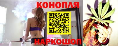 тгк Канаш